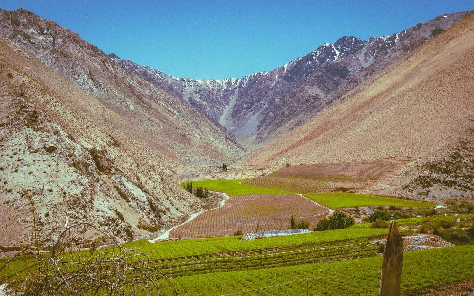 SEO para bodegas de vino en Chile