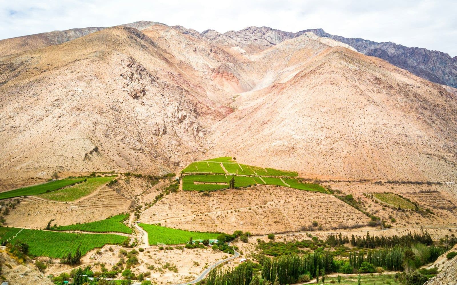 Vineyards and hills in Pisco Elqui, Chile