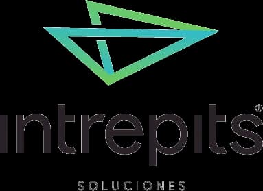 Intrepits logo (process automation) — brand identity designed by Estudio Furia