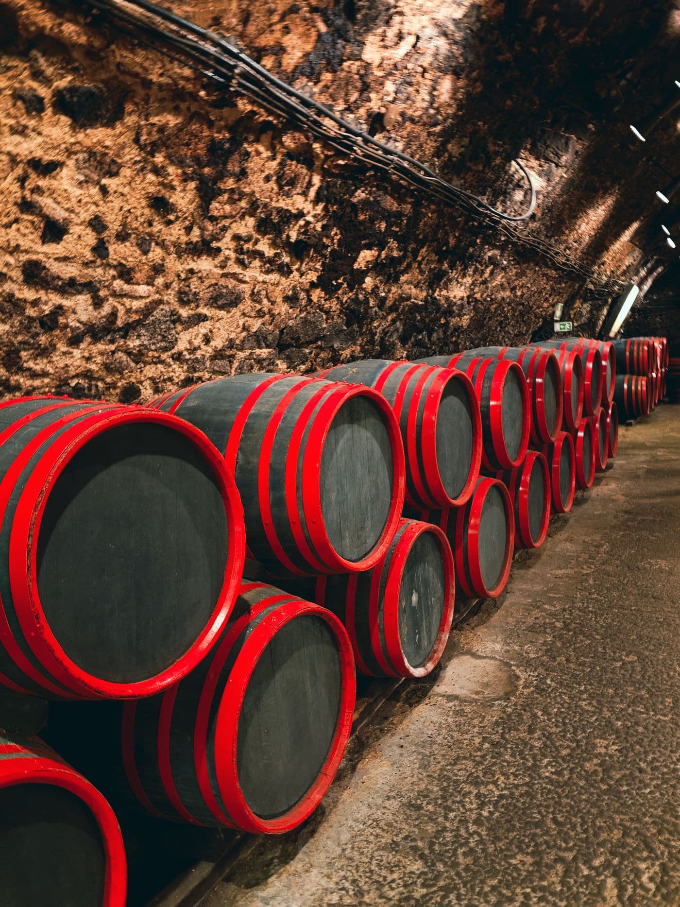 Viñedos — bodegas y vitivinicultura