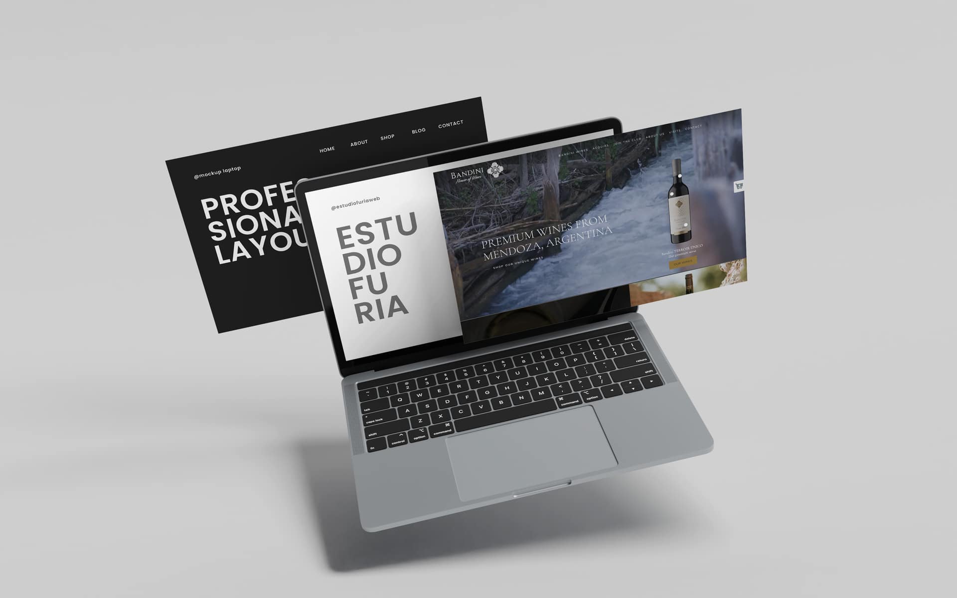 Estudio Furia Agency - Web design and digital marketing services
