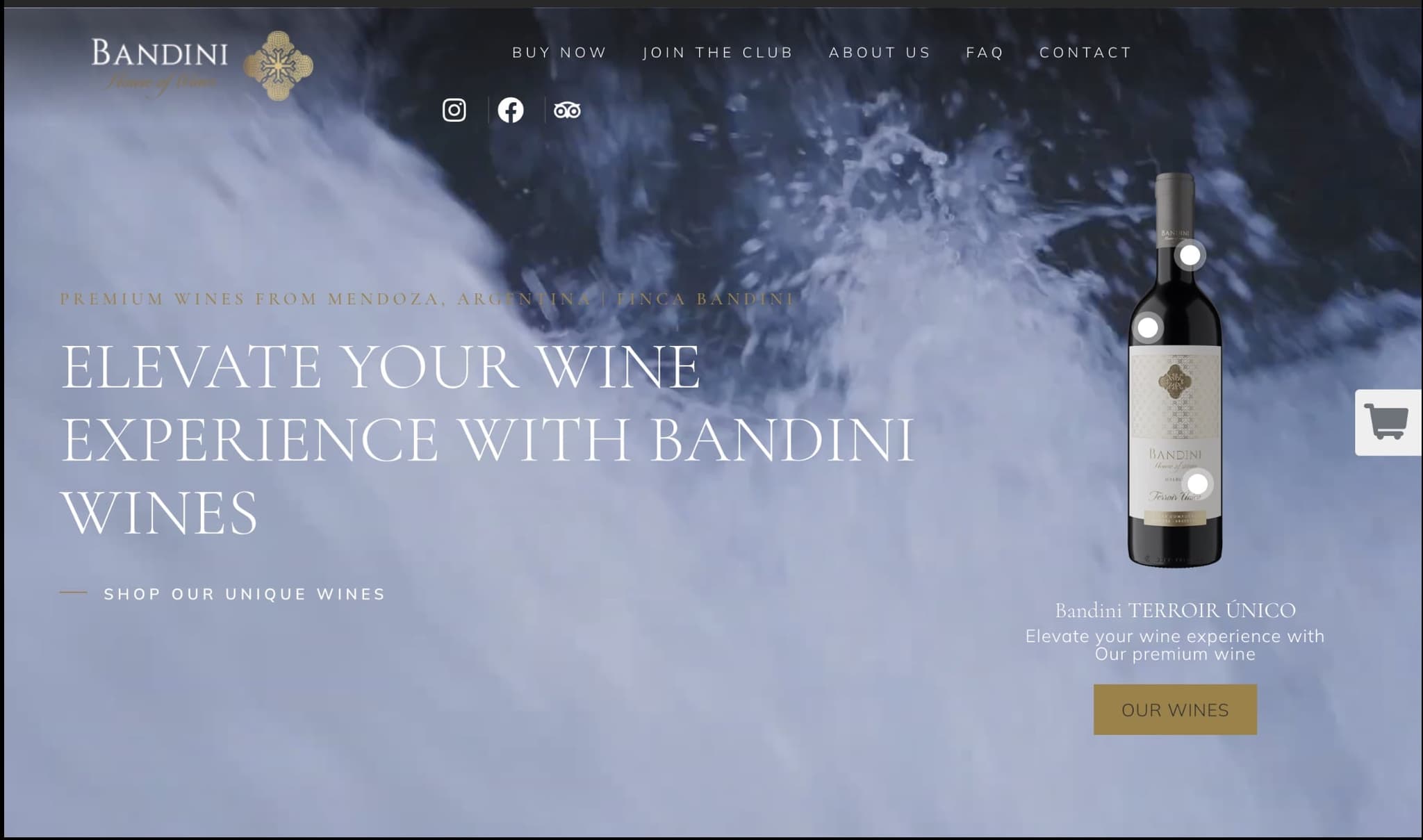 Bandini Wines — caso Estudio Furia