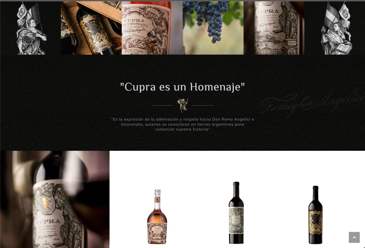 CUPRA WINES - corporate wine retail | Estudio Furia Portfolio